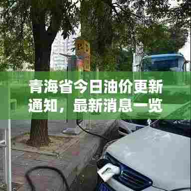 青海省今日油价更新通知，最新消息一览