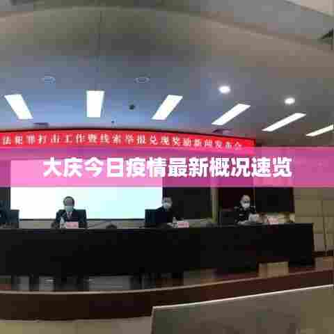 大庆今日疫情最新概况速览