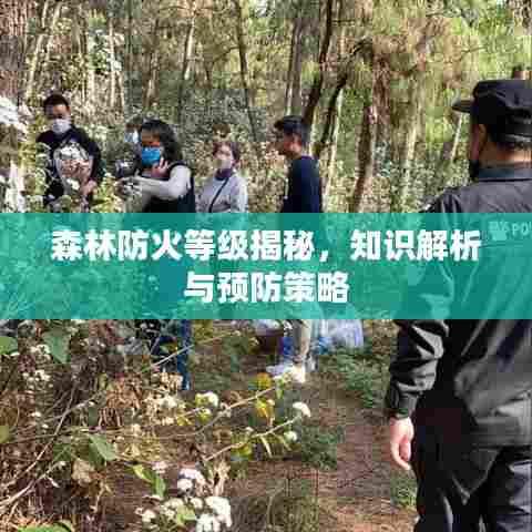 森林防火等级揭秘，知识解析与预防策略