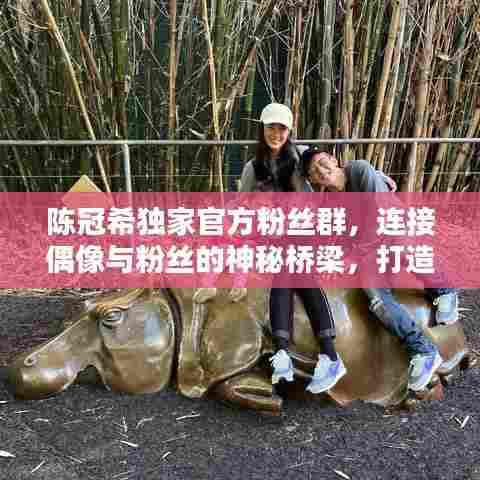 陈冠希独家官方粉丝群，连接偶像与粉丝的神秘桥梁，打造粉丝互动新体验！