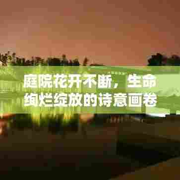 庭院花开不断，生命绚烂绽放的诗意画卷