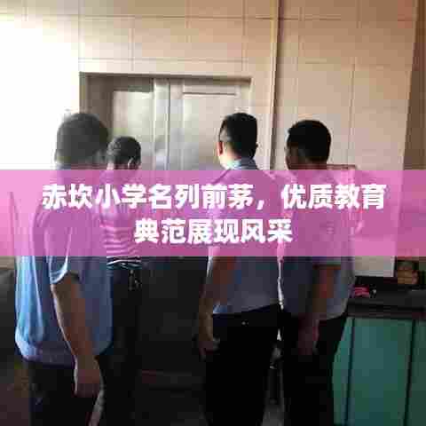 赤坎小学名列前茅，优质教育典范展现风采