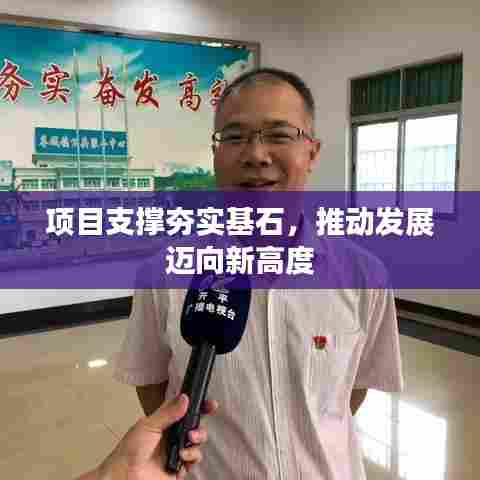 项目支撑夯实基石，推动发展迈向新高度