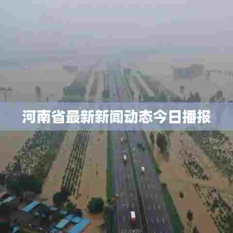 河南省最新新闻动态今日播报