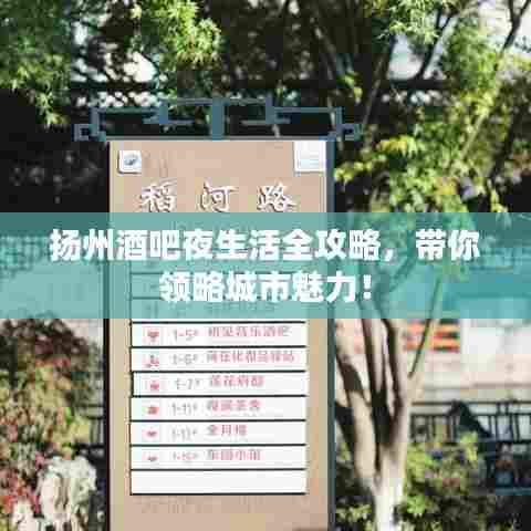 扬州酒吧夜生活全攻略，带你领略城市魅力！
