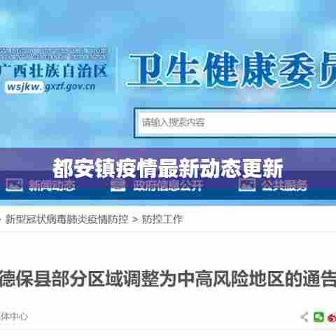 都安镇疫情最新动态更新