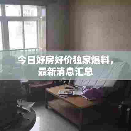今日好房好价独家爆料，最新消息汇总