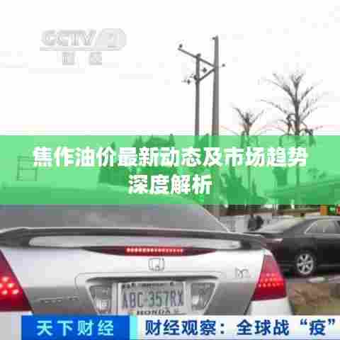 焦作油价最新动态及市场趋势深度解析