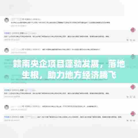 赣南央企项目蓬勃发展，落地生根，助力地方经济腾飞