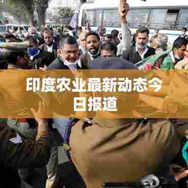 印度农业最新动态今日报道