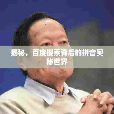 揭秘，百度搜索背后的拼音奥秘世界