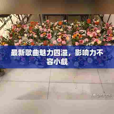 最新歌曲魅力四溢，影响力不容小觑