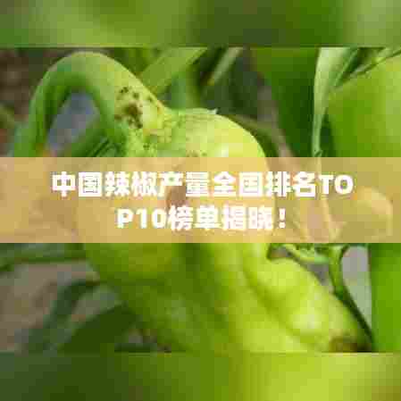 中国辣椒产量全国排名TOP10榜单揭晓！
