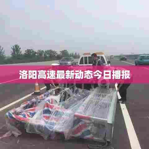 洛阳高速最新动态今日播报