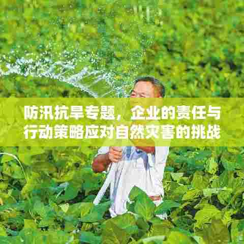 防汛抗旱专题，企业的责任与行动策略应对自然灾害的挑战