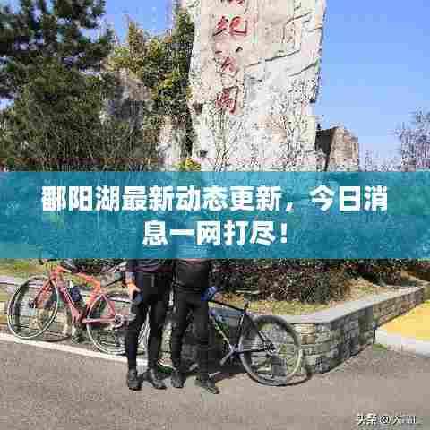鄱阳湖最新动态更新，今日消息一网打尽！
