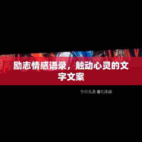 励志情感语录，触动心灵的文字文案