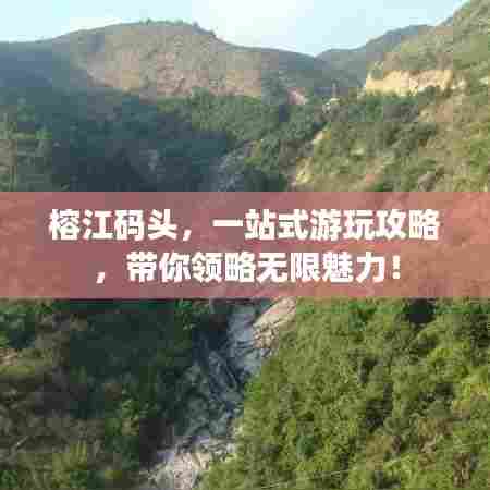 鸟语蝉鸣 第7页