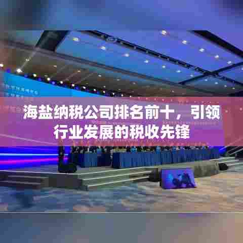 海盐纳税公司排名前十，引领行业发展的税收先锋
