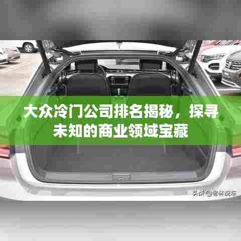 大众冷门公司排名揭秘，探寻未知的商业领域宝藏