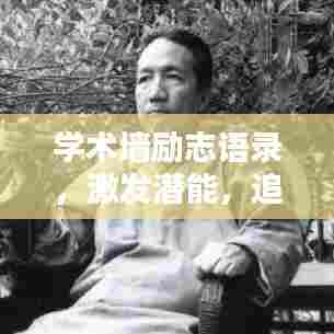 学术墙励志语录，激发潜能，追求卓越学术成就！