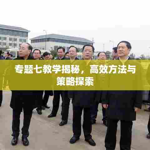 专题七教学揭秘，高效方法与策略探索