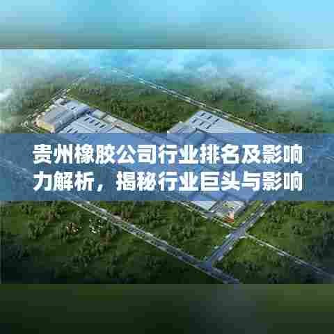 贵州橡胶公司行业排名及影响力解析，揭秘行业巨头与影响力版图！
