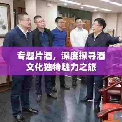 专题片酒，深度探寻酒文化独特魅力之旅
