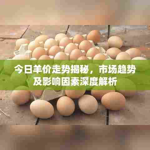 今日羊价走势揭秘，市场趋势及影响因素深度解析