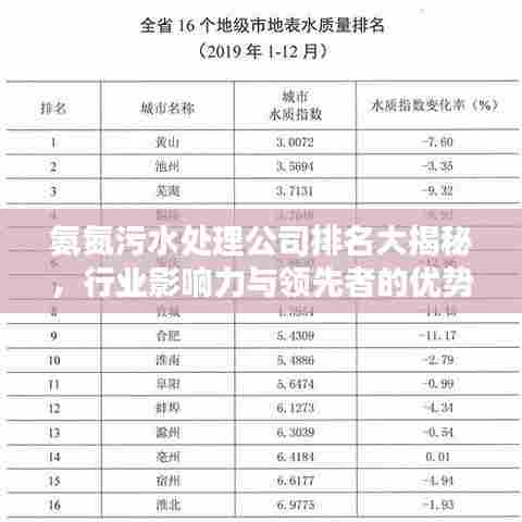 氨氮污水处理公司排名大揭秘，行业影响力与领先者的优势