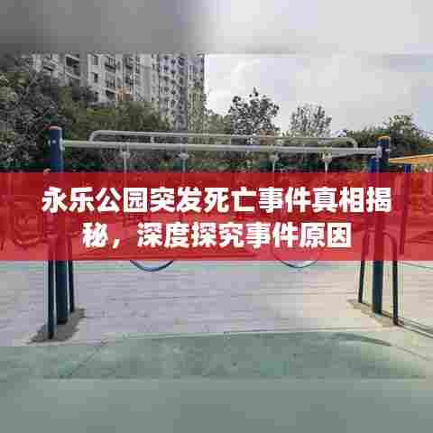 永乐公园突发死亡事件真相揭秘，深度探究事件原因