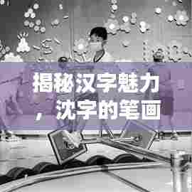 揭秘汉字魅力，沈字的笔画与笔顺详解