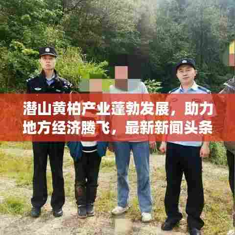 潜山黄柏产业蓬勃发展，助力地方经济腾飞，最新新闻头条