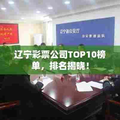 辽宁彩票公司TOP10榜单，排名揭晓！