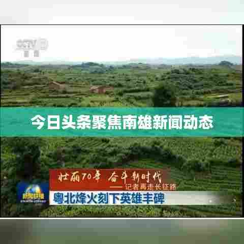 今日头条聚焦南雄新闻动态