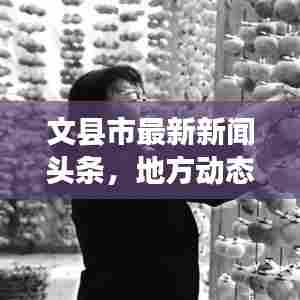 文县市最新新闻头条，地方动态与经济文化发展概览