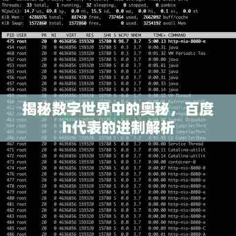 揭秘数字世界中的奥秘，百度h代表的进制解析