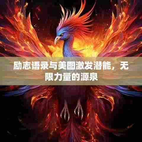 励志语录与美图激发潜能，无限力量的源泉