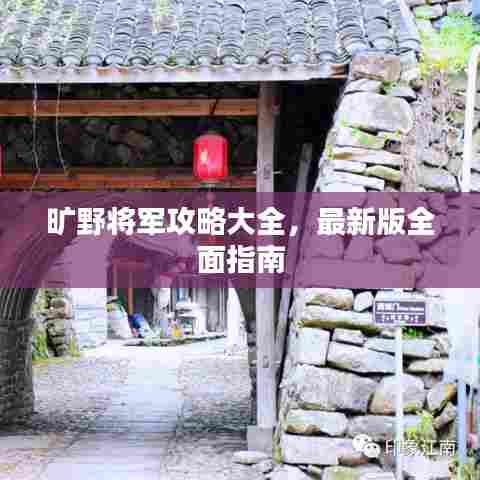 旷野将军攻略大全，最新版全面指南