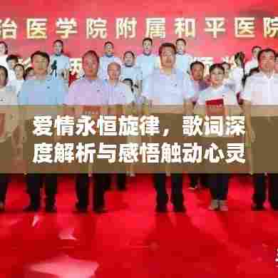 环肥燕瘦 第6页