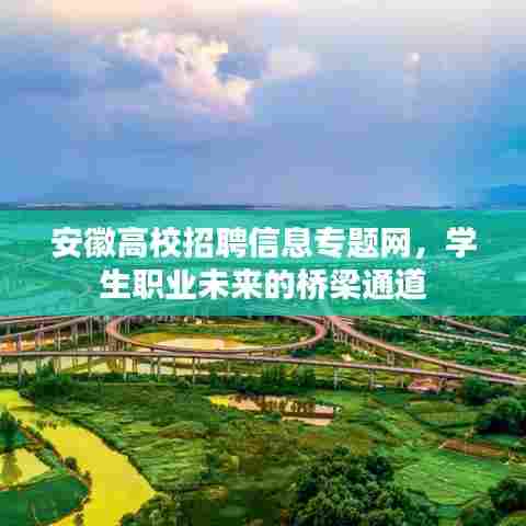 安徽高校招聘信息专题网，学生职业未来的桥梁通道
