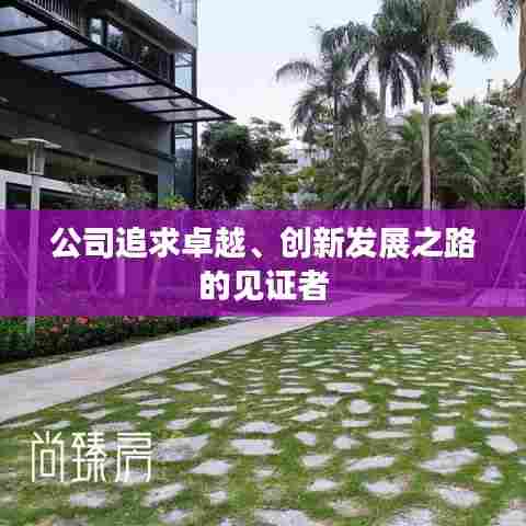 公司追求卓越、创新发展之路的见证者