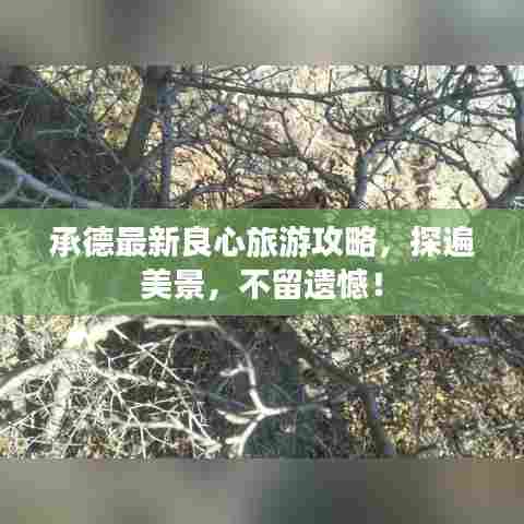 承德最新良心旅游攻略，探遍美景，不留遗憾！