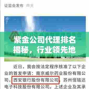 紫金公司代理排名揭秘，行业领先地位不容小觑