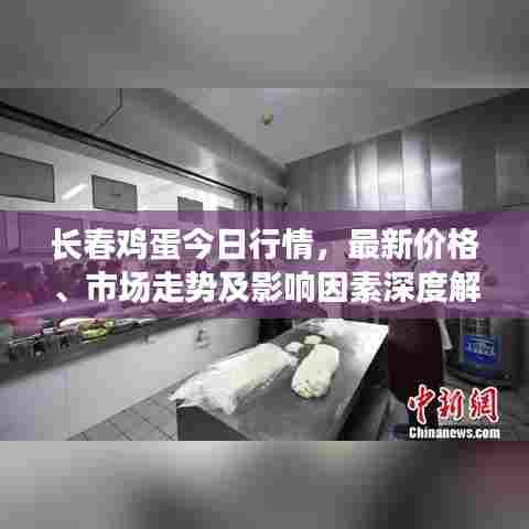 长春鸡蛋今日行情，最新价格、市场走势及影响因素深度解析
