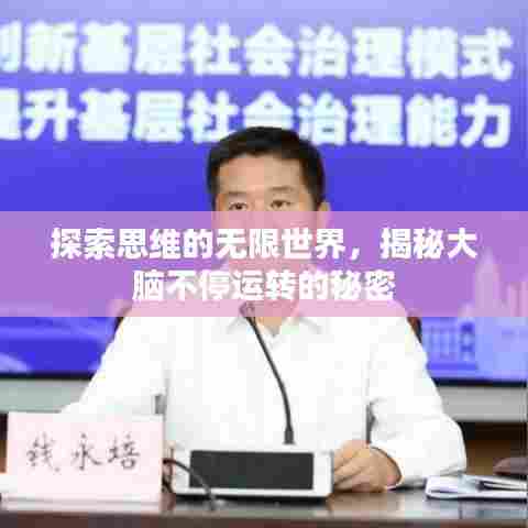 探索思维的无限世界，揭秘大脑不停运转的秘密