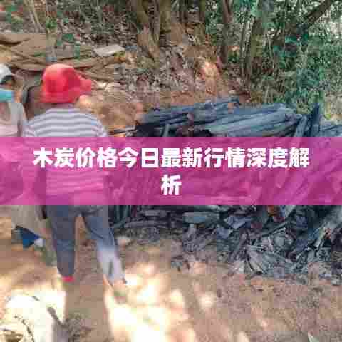 木炭价格今日最新行情深度解析