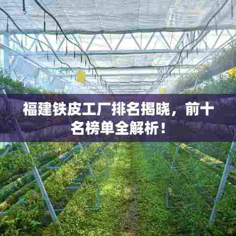 福建铁皮工厂排名揭晓，前十名榜单全解析！