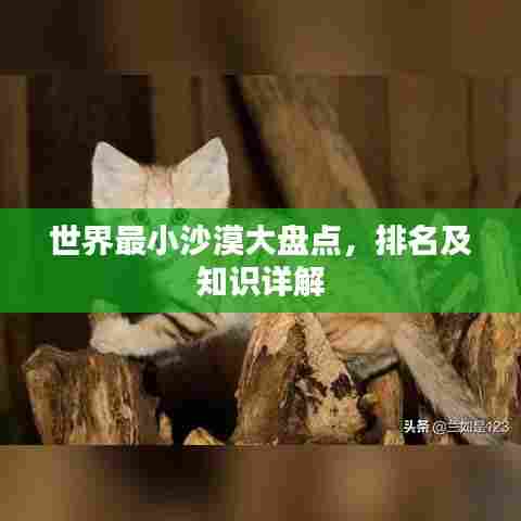 世界最小沙漠大盘点，排名及知识详解