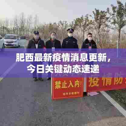 肥西最新疫情消息更新，今日关键动态速递